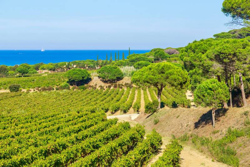 Taxi conventionné CPAM Transport sécurisé pour patients en rémission cancer du côlon vers cliniques Marseille